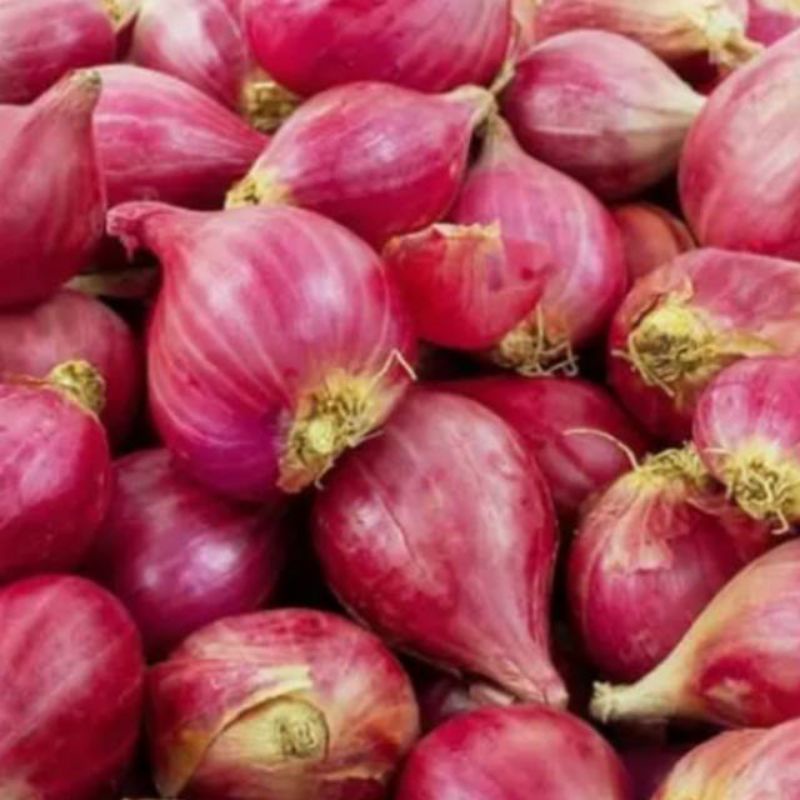 

BAWANG MERAH PILIHAN KEMASAN 500 GR
