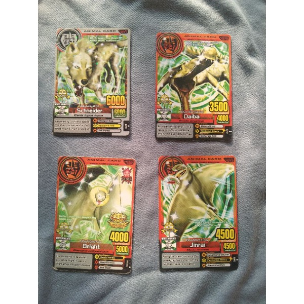 Cards Holy animal kaiser original