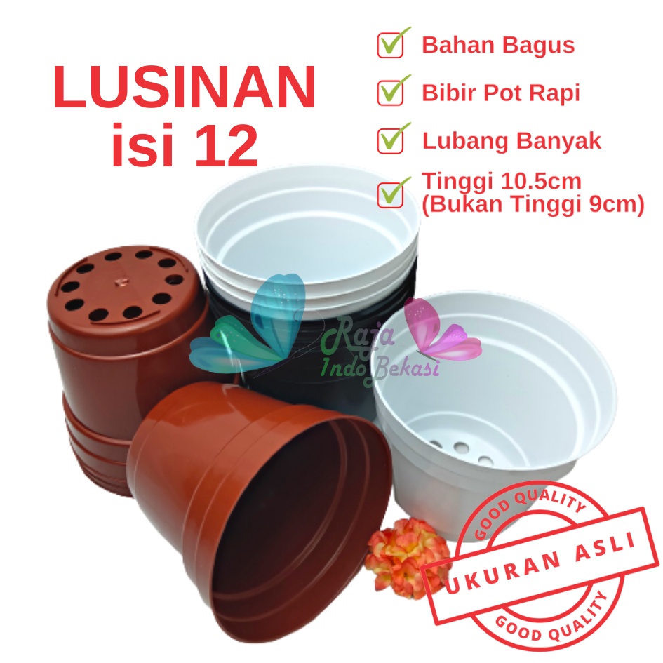 LUSINAN 12PCS Pot 12 Cm Putih Hitam Merah Bata Merah Coklat Terracota Terracotta - Pot 12 Hitam Kecil Mini Minimalis Plastik Kaktus Sukulen Mini Murah Pot Bibit Pembibitan