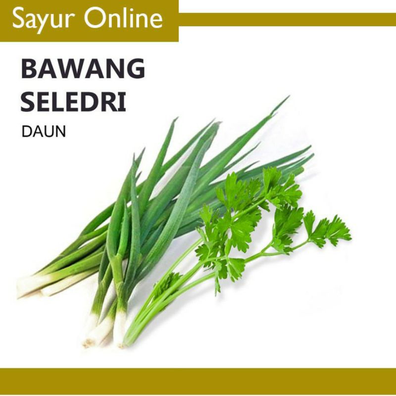 

Pasar Online Segar Murah - Daun Bawang Seledri 1 ikat