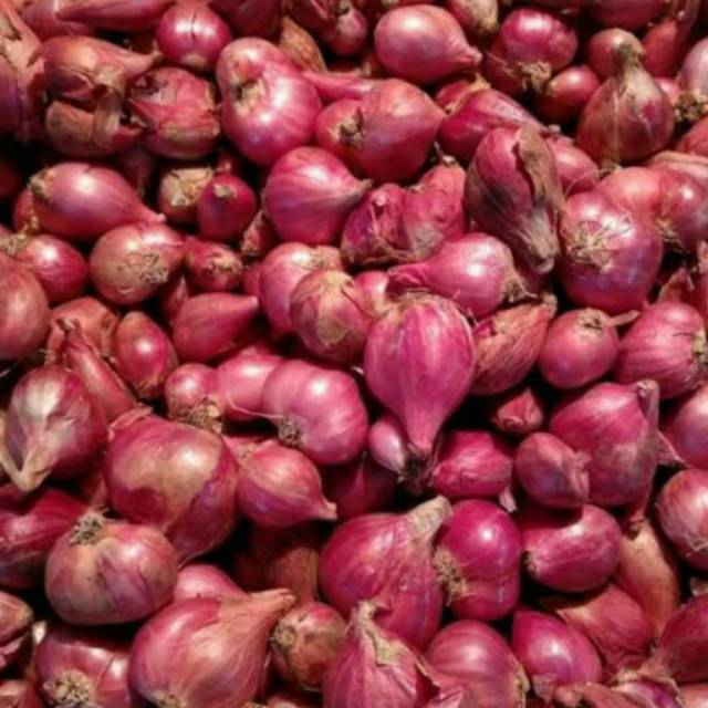 

Bawang merah 500 gr