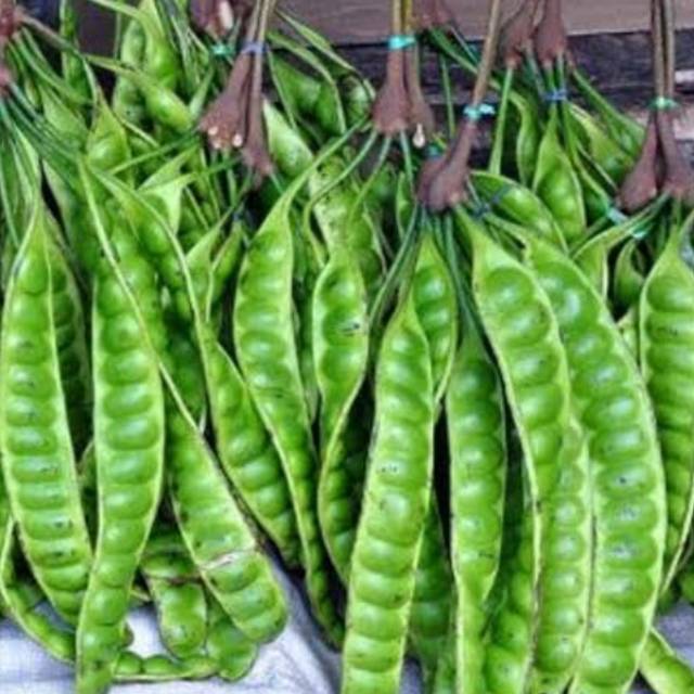 

Petai