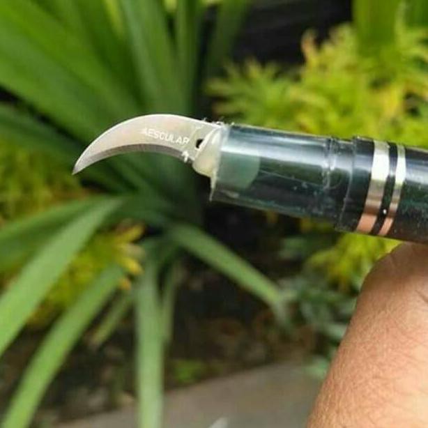 

Pisau bulpoin raut jalu Ayam (ART. 9395)