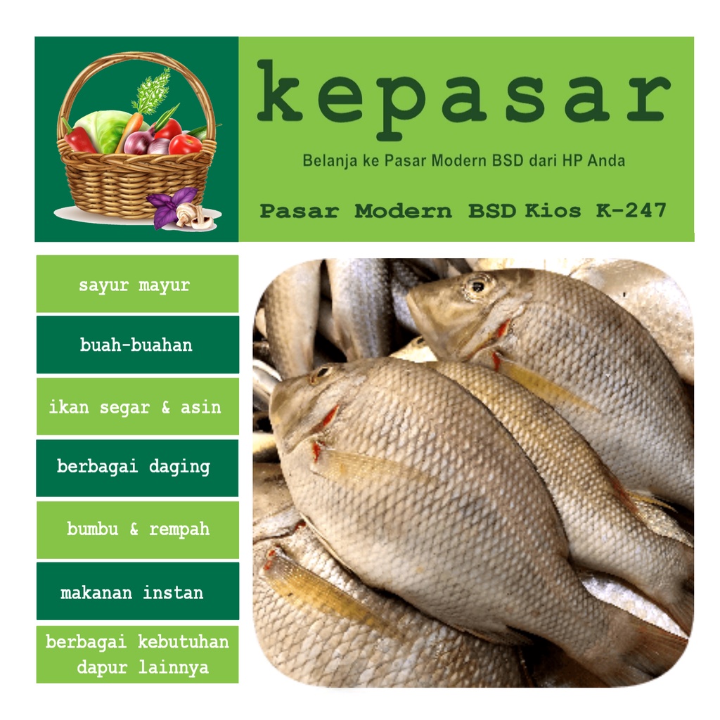 

Ikan Kakap Putih 500 g