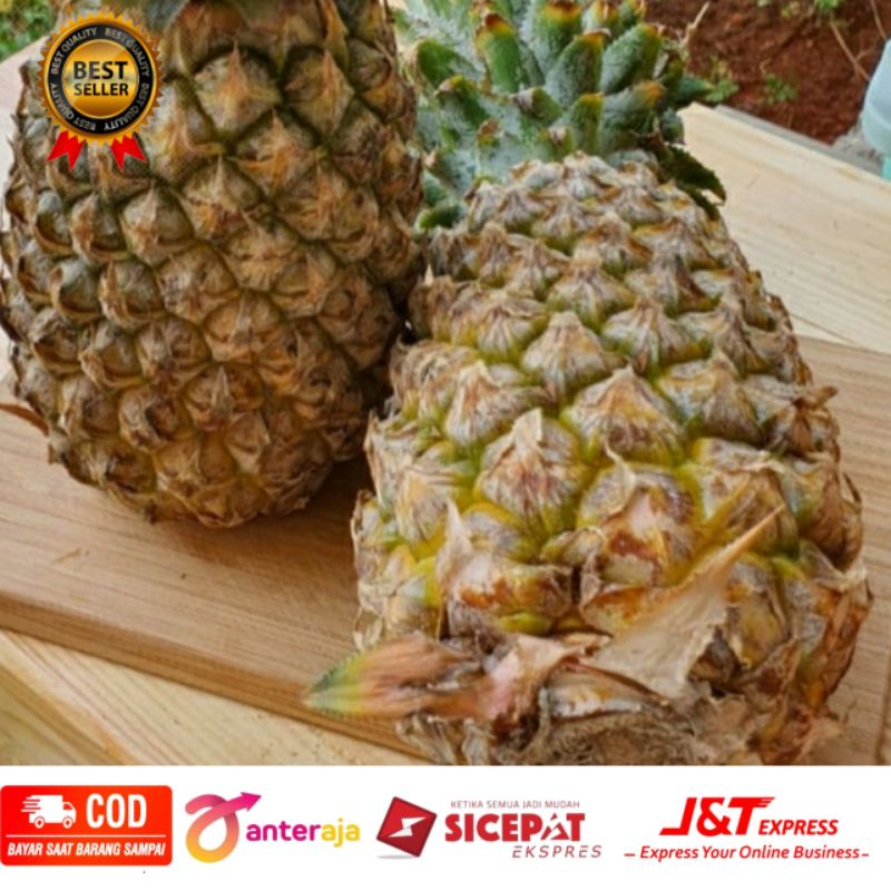 

Buah nanas matang manis