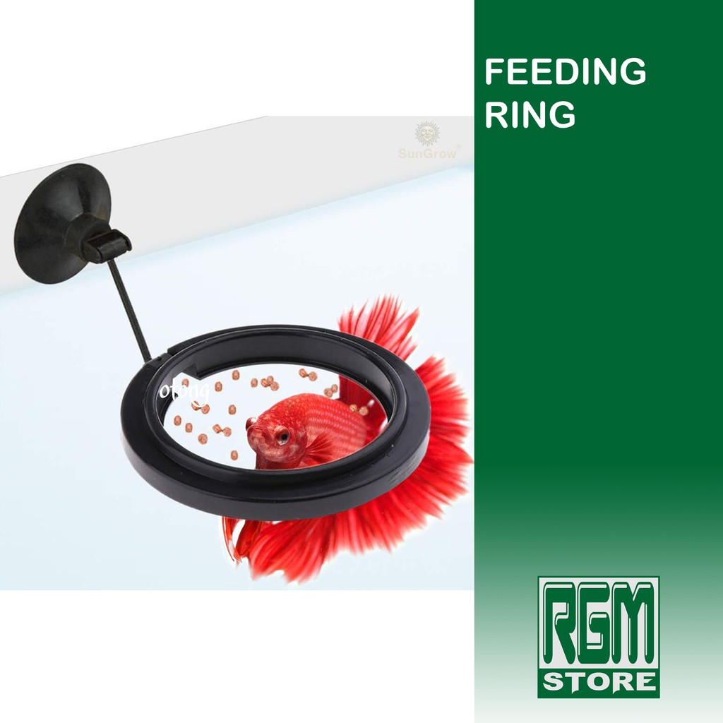 FEEDING RING Alat Tempat Makan Pakan Ikan Mengapung aquarium aquascape