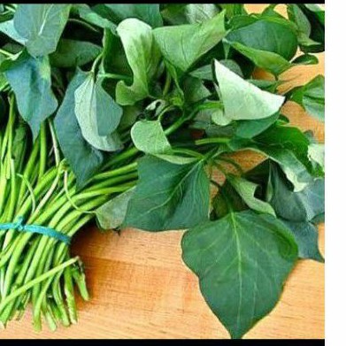 

Daun Ubi Jalar Untuk Sayur Bening