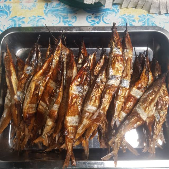 

Ikan roa