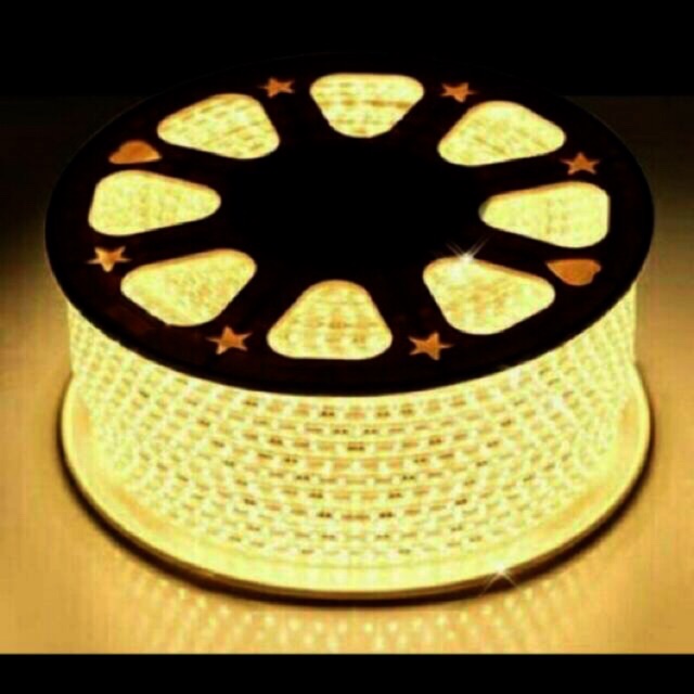 Lampu Led Strip Selang SMD 5050 AC 220V METERAN OUTDOOR INDOOR per meter lampu tik tok warna warni