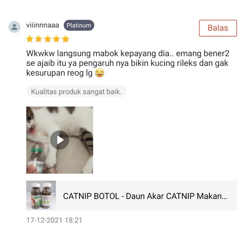 CATNIP BOTOL - Daun Akar CATNIP Makanan Mainan Kucing Catmint Bikin Kucing Fly Obat Stress Kucing