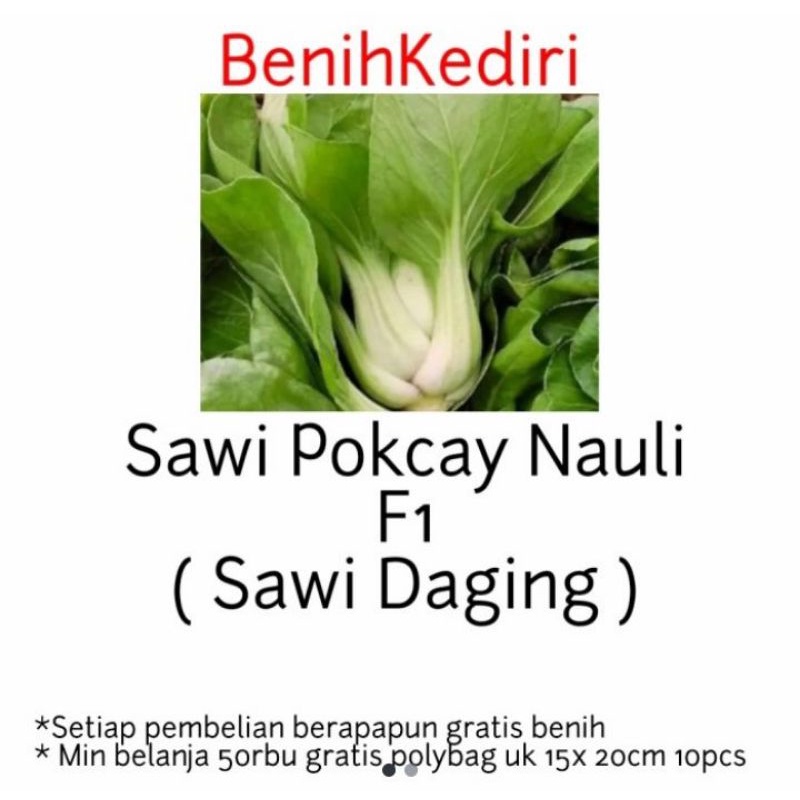 30 biji bibit benih sayur sawi pokcay pakcoy nauli nauly sawi daging f1