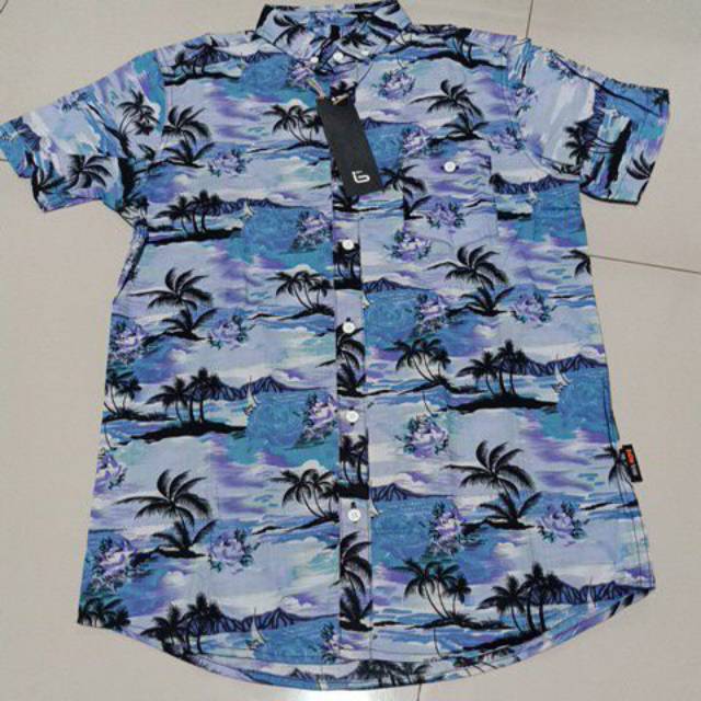 KEMEJA BROTHER BROSS FULL MOTIF 100% KATUN