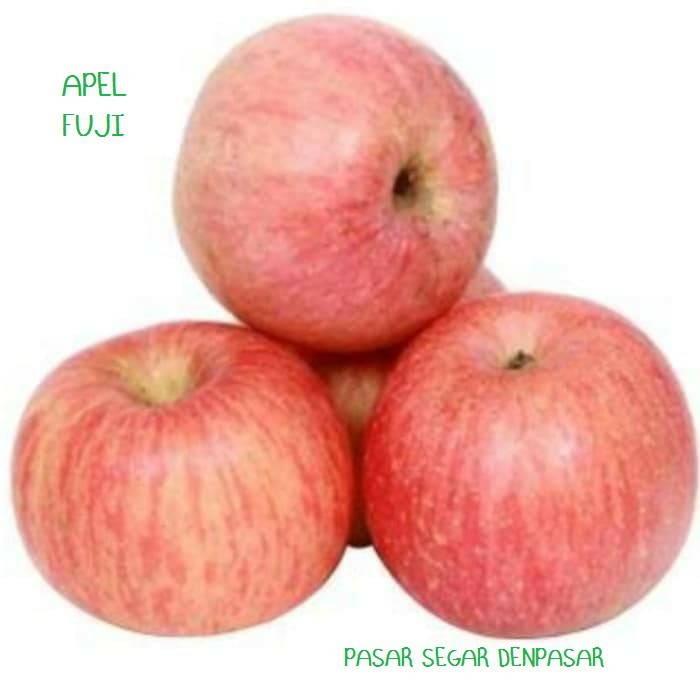 

APEL FUJI SEGAR