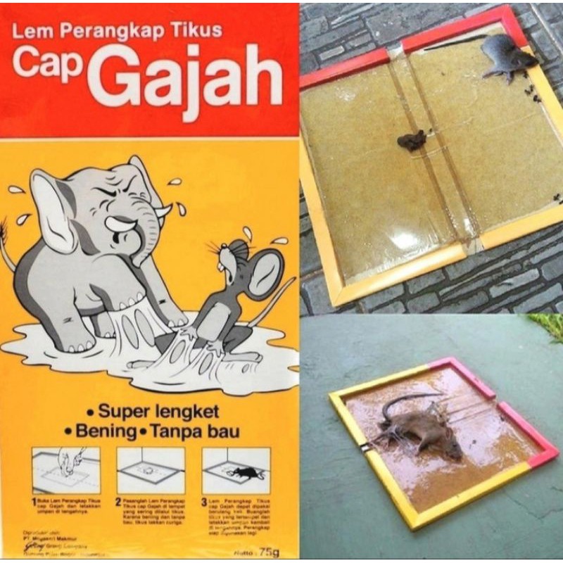 Lem Tikus Cap Gajah Papan