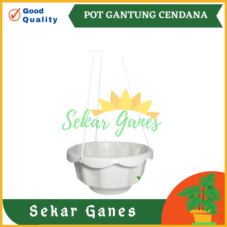 POT BUNGA GANTUNG CENDANA 16 CM - POT BUNGA LILI PARIS PEPEROMIA BEGONIA - BUKAN POT TAWON MURAH