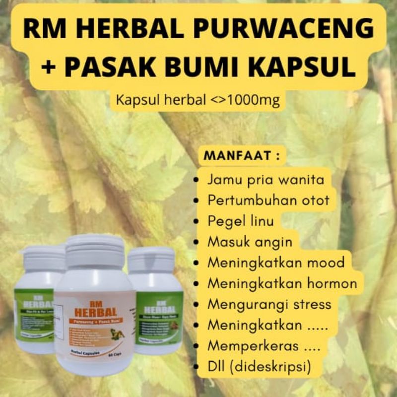 RM HERBAL KAPSUL PASAK BUMI / KAPSUL TONGKAT ALI + PURWACENG || HERBAL KUAT PRIAWANITA HERBAL VITALI