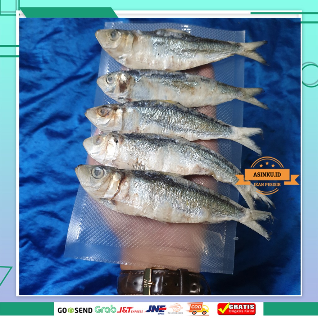 

IKAN TAMBAH ASIN 1KG | IKAN ASIN TAMBAN KHAS PESISIR SUMUT | IKAN ASIN TERENAK TERMURAH
