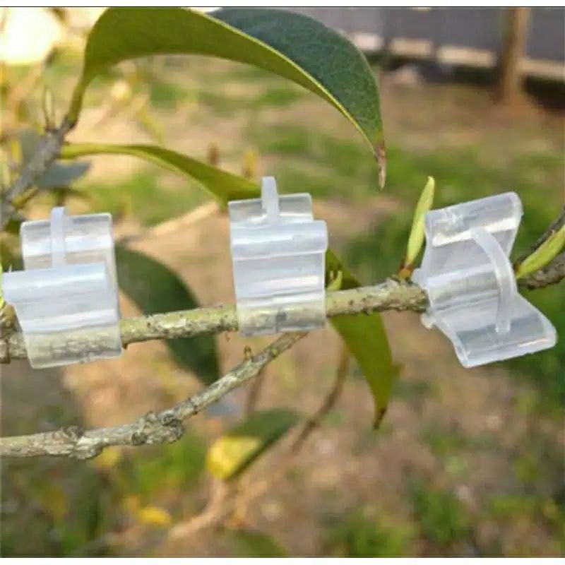 TERMURAH Grafting Clip Okulasi Sambung Pucuk