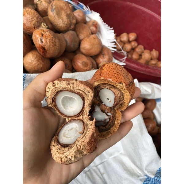 

Buah Zuriat asli pengiriman dari mekkah