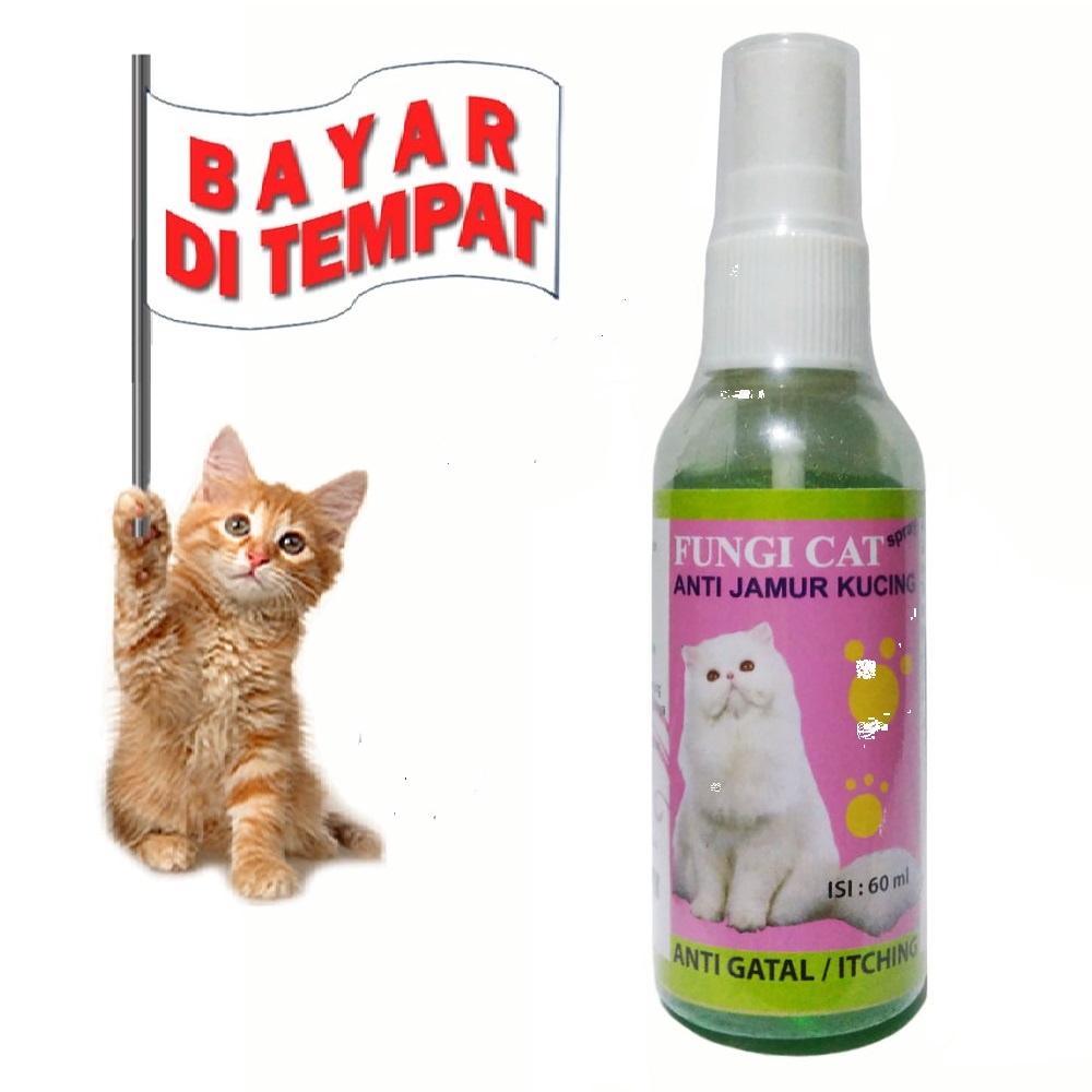 FUNGI CAT OBAT JAMUR KUCING AMPUH OBAT INFEKSI KULIT SCABIES LUKA KORENG GATAL KUCING TERMURAH