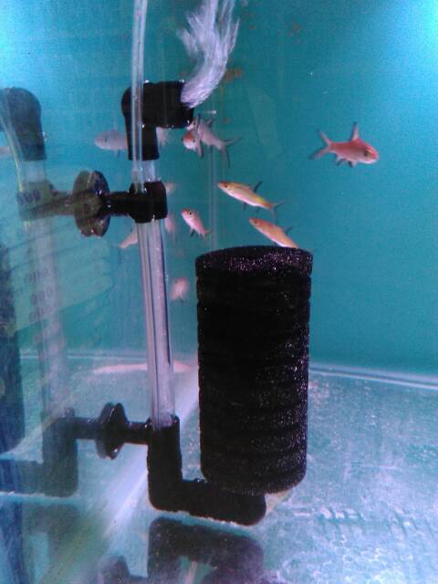 BIO SPONGE FILTER AQUARIUM RECENT AA 2813