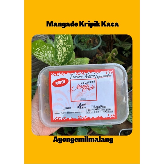 

MANGADE KRIPIK KACA