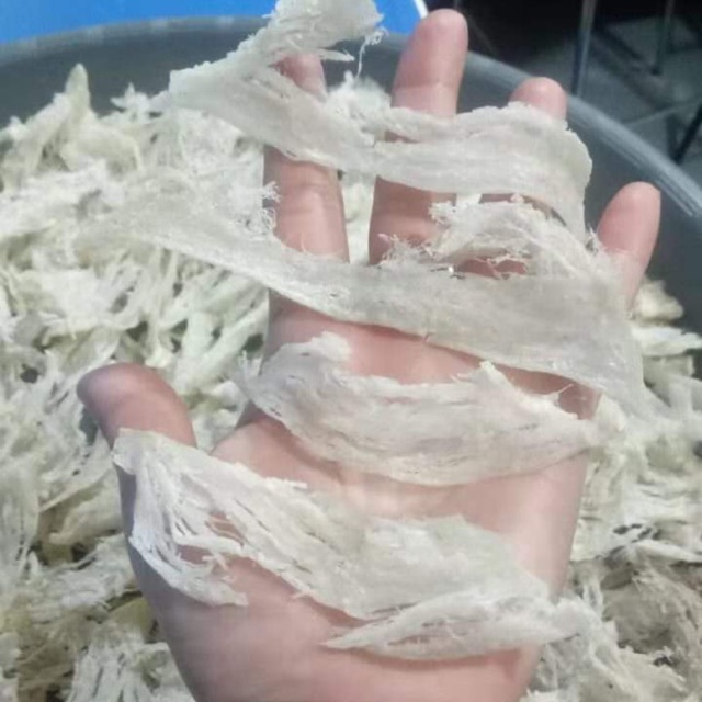 

Birdnest Sarung Burung Walet kualitas menengah