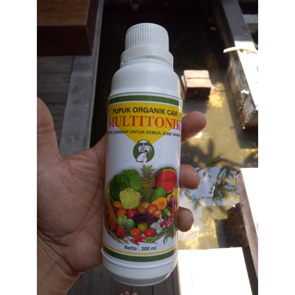 Suplemen Tanaman Buah