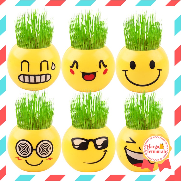 Harga termurah - 8074 Pot Emoji Emoticon / Tanaman Hias Rumput Emoji / Vas Bunga Emoticon Emoji / Po