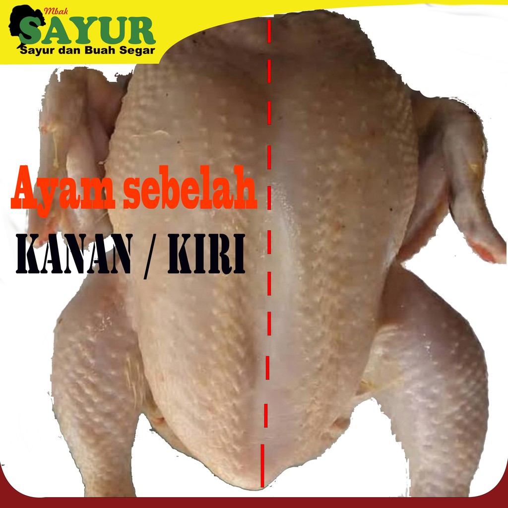 

Ayam Separuh Bag. Kanan / Kiri