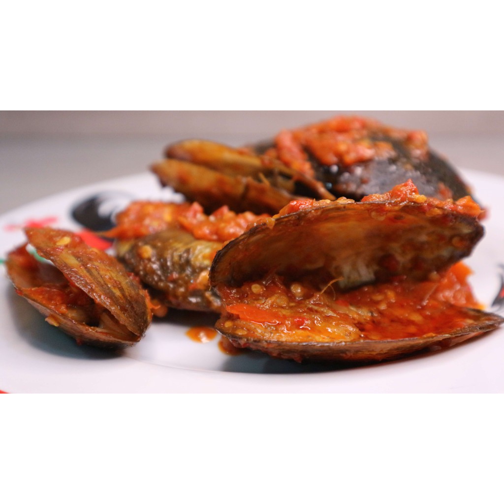 Kerang Kijing Medium Shopee Indonesia