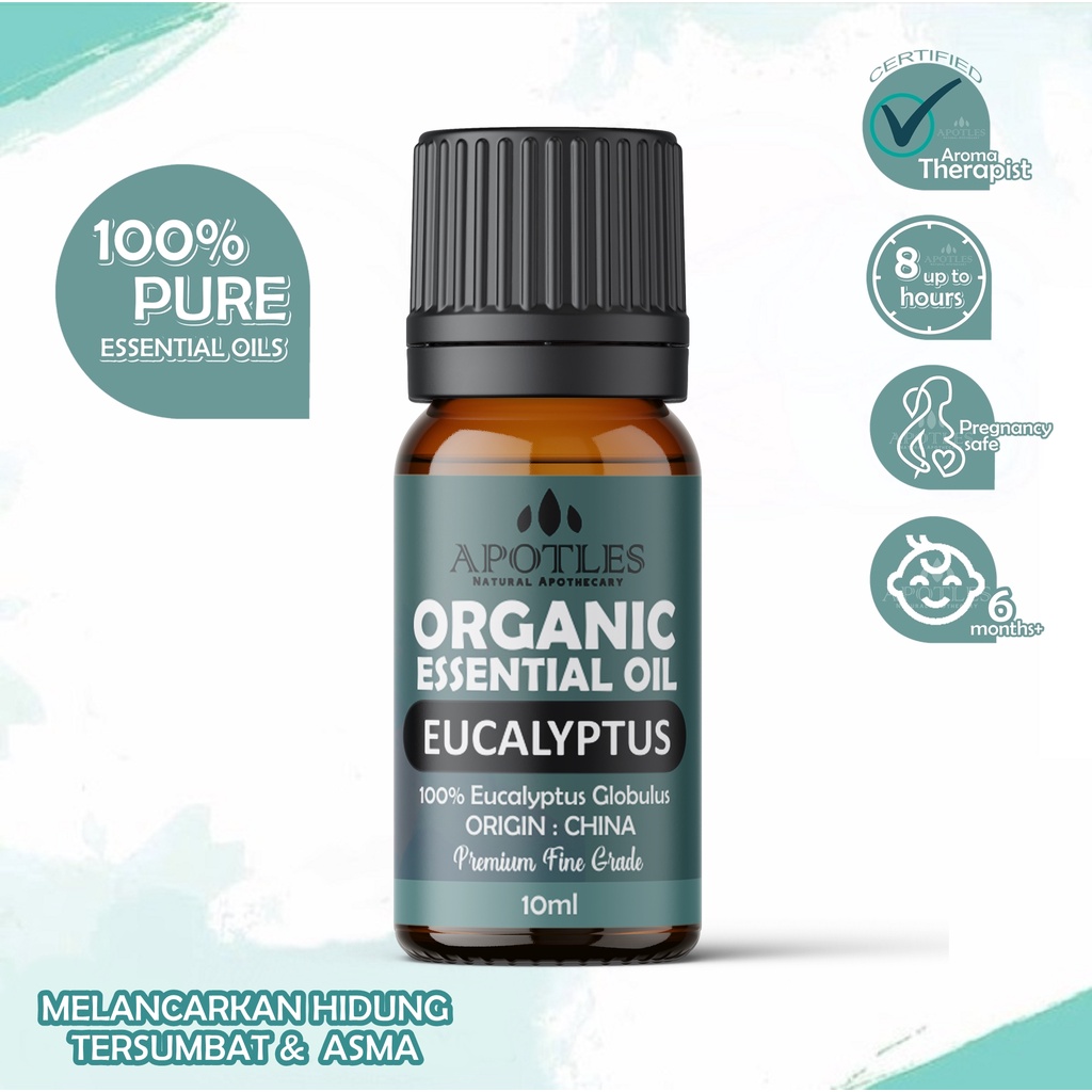 Eucalyptus Essential Oil - Minyak Aromaterapi Eukaliptus Pure Essential Oil 10ml