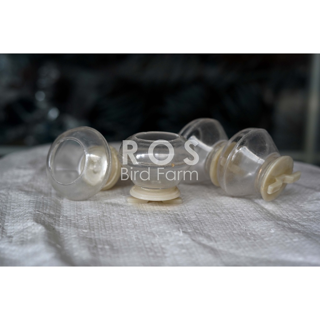 CEPUK WADAH CANGKIR PUTER TEMPAT MAKAN PAKAN MAKANAN MINUM MINUMAN BURUNG PERKUTUT LOVEBIRD