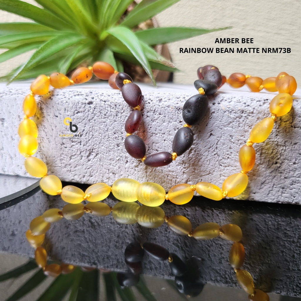 [TERMURAH] AMBER BEE Kalung Amber Bayi &amp; Anak Tumbuh Gigi Premium Multicolor Beans NGMB75