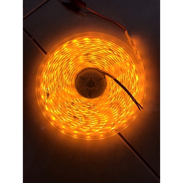 Lampu Led Strip IP65 2835 60 Led Roll 12Volt