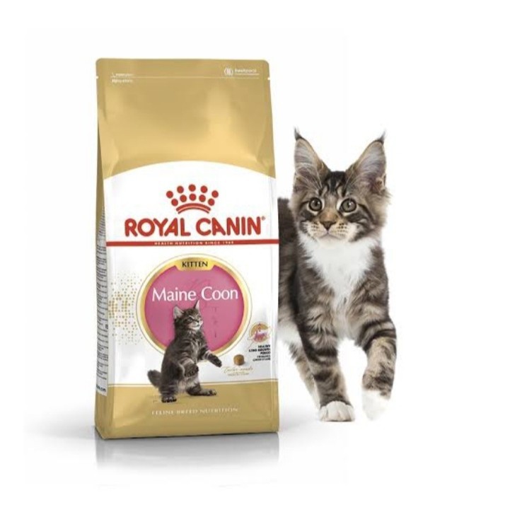 ROYAL CANIN KITTEN MAINECOON 2KG FRESHPACK