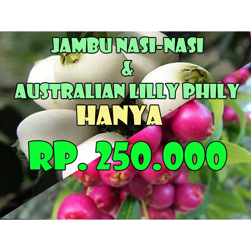 

Lhilly Philly dan Nasi Nasi