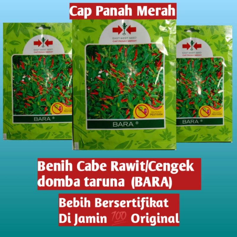 Benih Cabe Rawit/Cengek domba taruna (Bara) Isi 500 butir