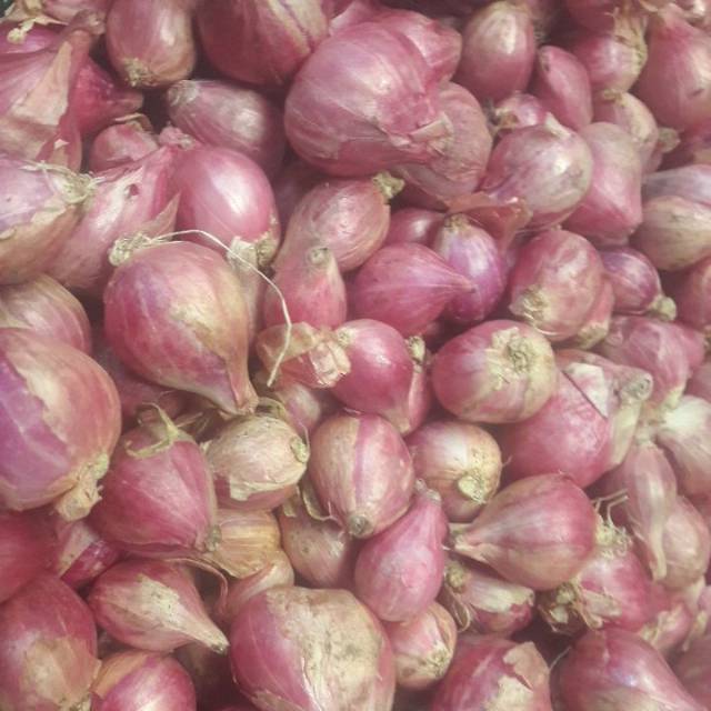 

Bawang merah