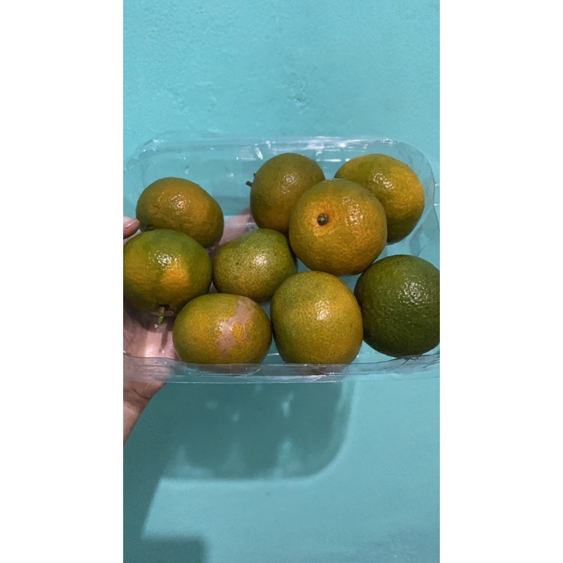 

JERUK SHANTANG MADU (DIJAMIN MANIS)