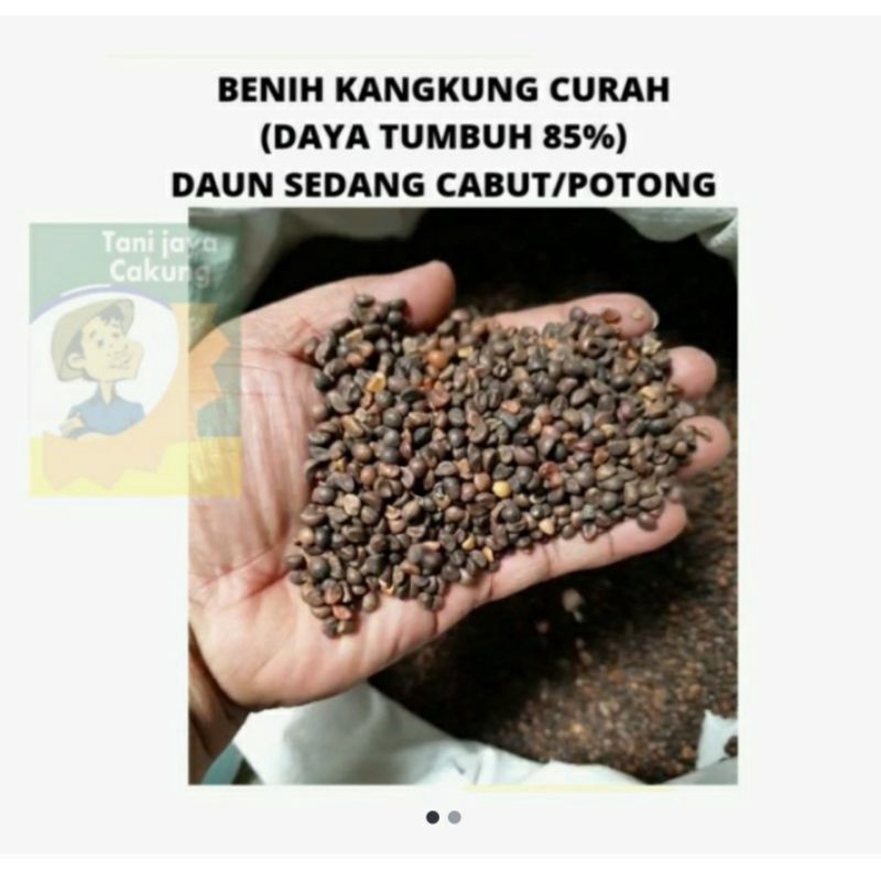 

benih kangkung curah repack 1kg