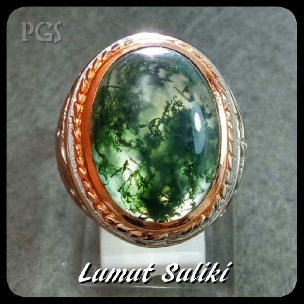 CINCIN LUMUT SULIKI PREMIUM QUALITY