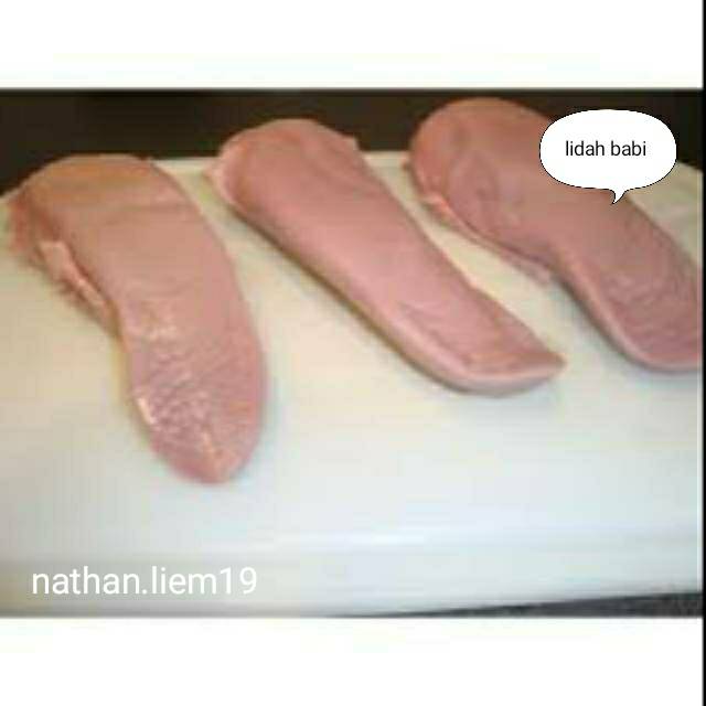 

lidah babi
