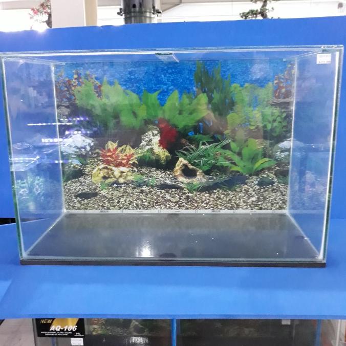Aquarium kaca 60cm ( GOJEK GRAB ONLY)