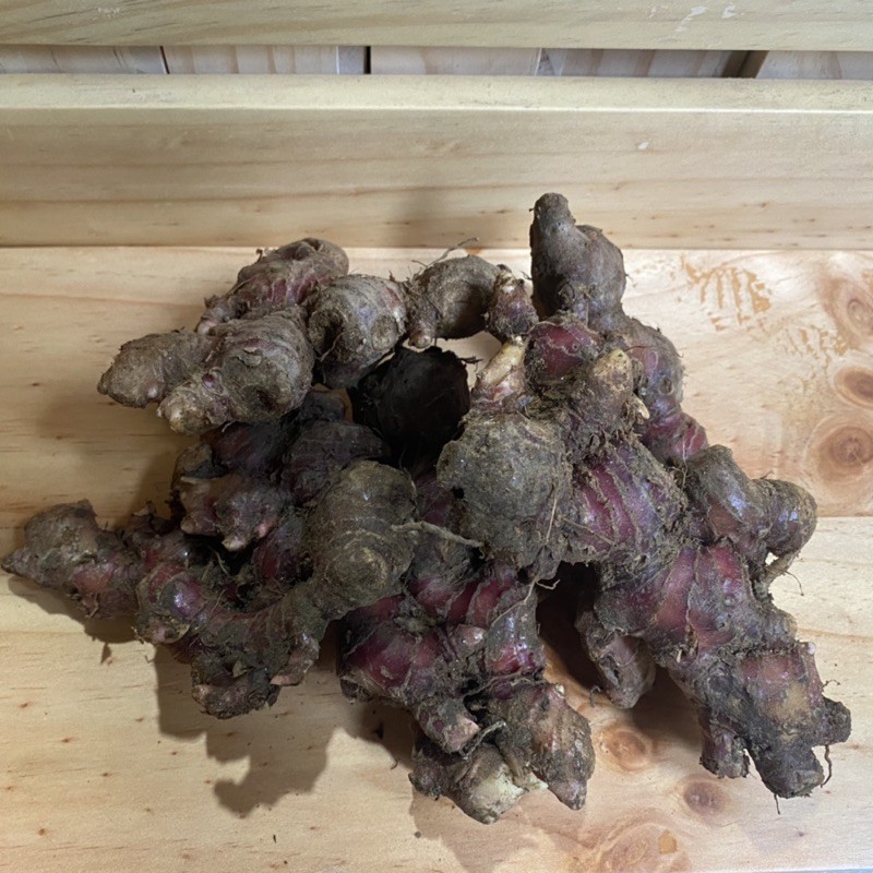 

Jahe Merah Bibit atau Konsumsi 500gr