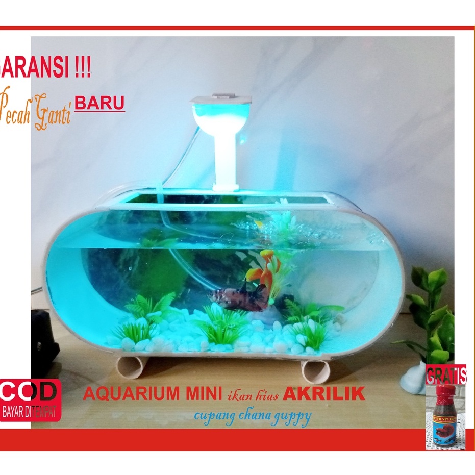 Aquarium Mini Akrillik Lampu Tengah Ikan Hias Ikan cupang Plus Mesin Aerator