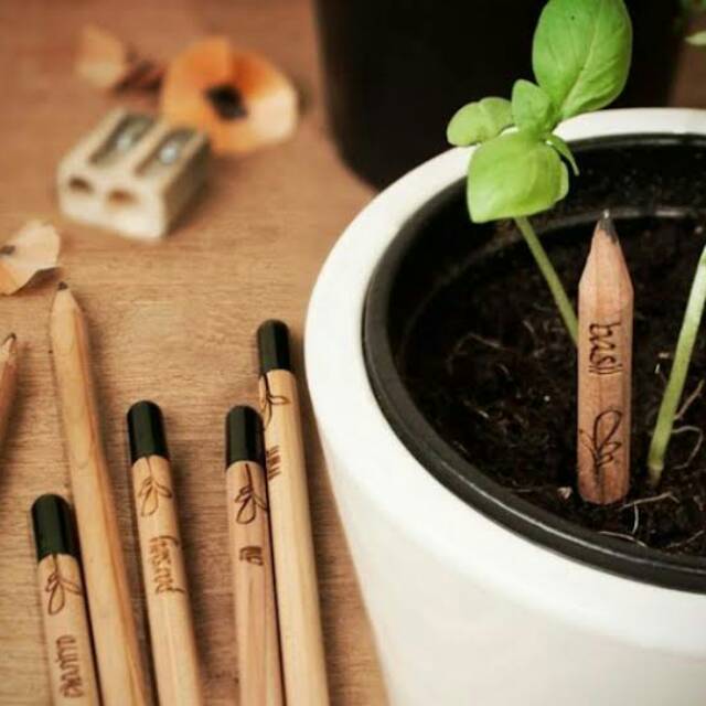 

Pencilseed