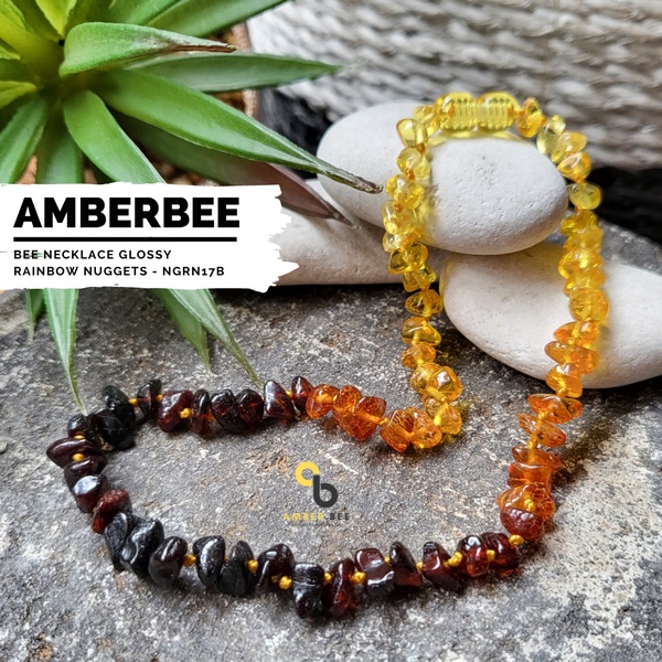 Kalung Amber Anak Premium Glossy Rainbow Nugget By Amber Bee NGRN17B