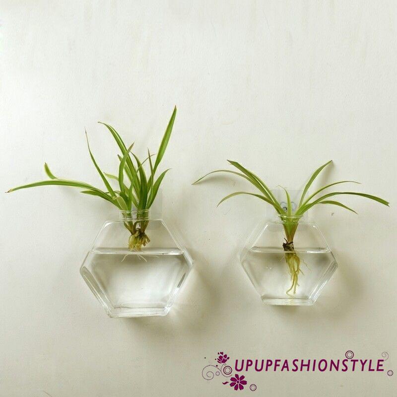 Pot Vas Bunga Terrarium Gantung Bahan Kaca Shopee Indonesia Pot Vas Bunga Terrarium Gantung Bahan Kaca Shopee Indonesia