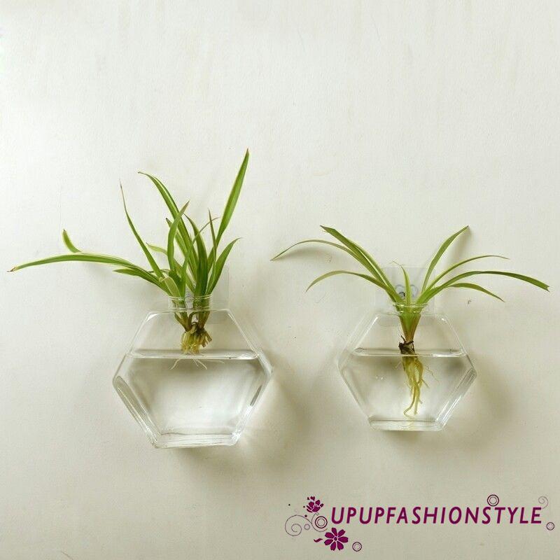  Pot  Vas Bunga Terrarium Gantung  Bahan Kaca  Shopee Indonesia